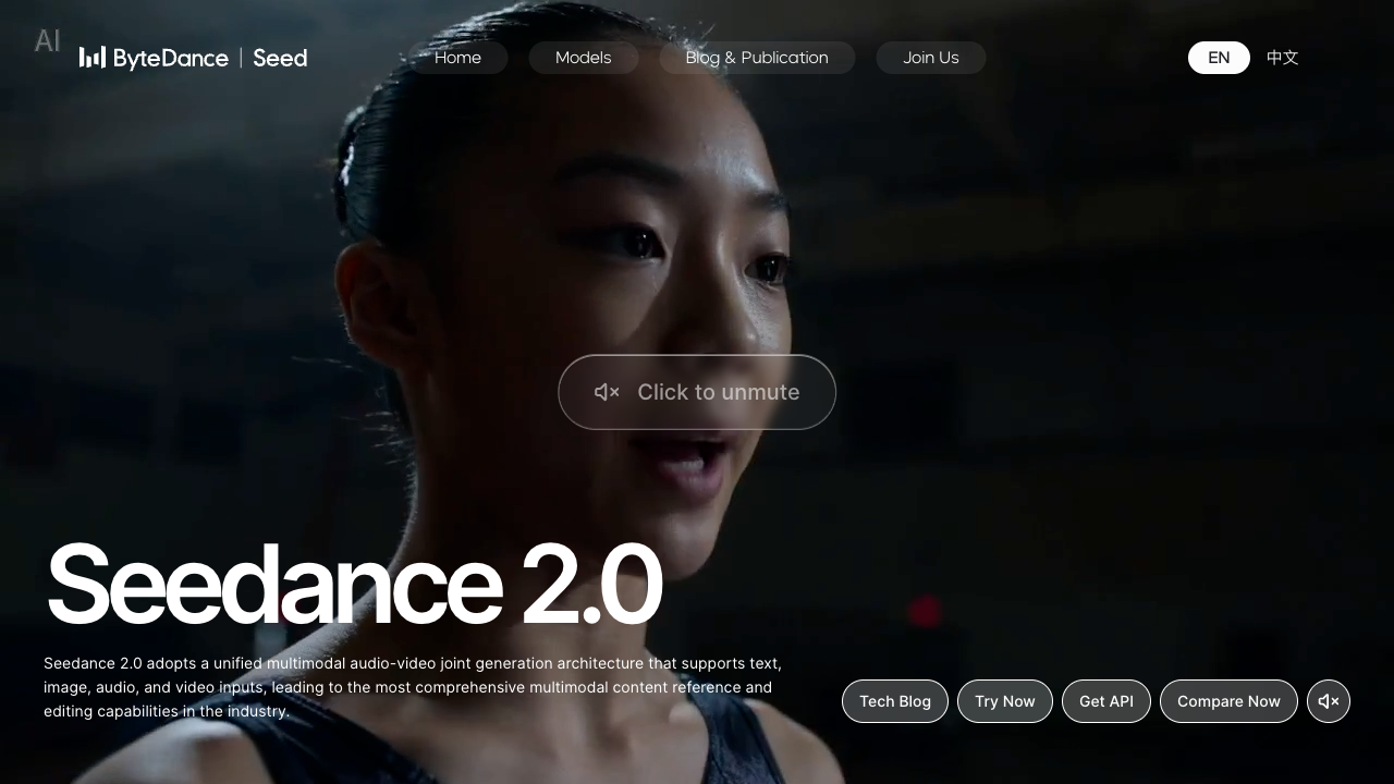 Seedance 2.0 website first screen screenshot